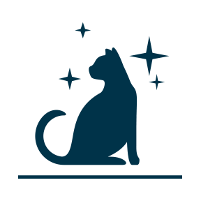 cat vector image