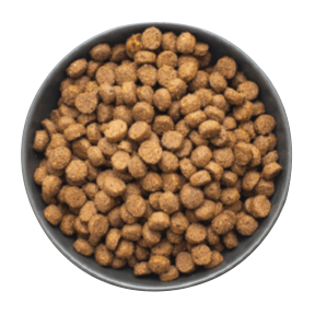 Bowl full of pro nutrition dog food