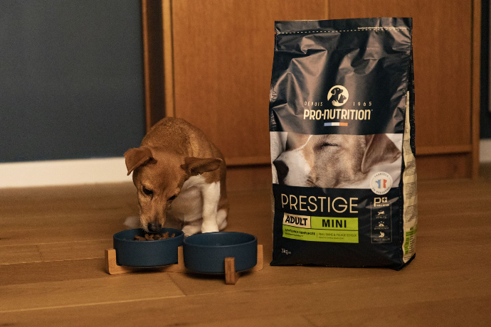 Pro Nutrition Prestige dog food bag near dog eating brom a bowl