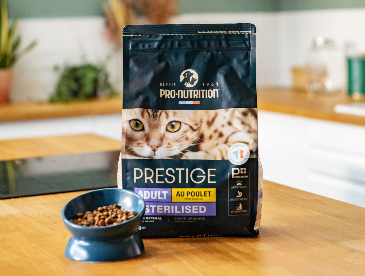 Pro Nutrition prestige cat food bag 3 Kg near food bowl