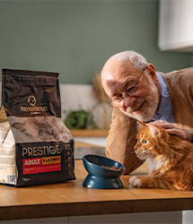 old man feeding cat with pro nutrition cat food - image