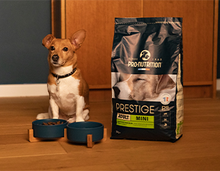 A Dog sitting next to pro nutrition prestige adult mini dog food bag - image