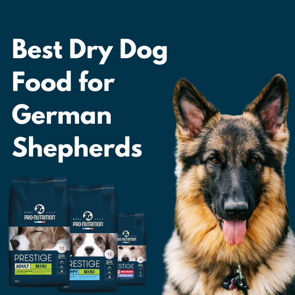 Pro Nutrition dry dog food for German Shepherds in UAE – high-protein kibble supporting joint health, shiny coat, and muscle strength